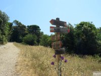 2026-06-30 Il Monte Conero 057